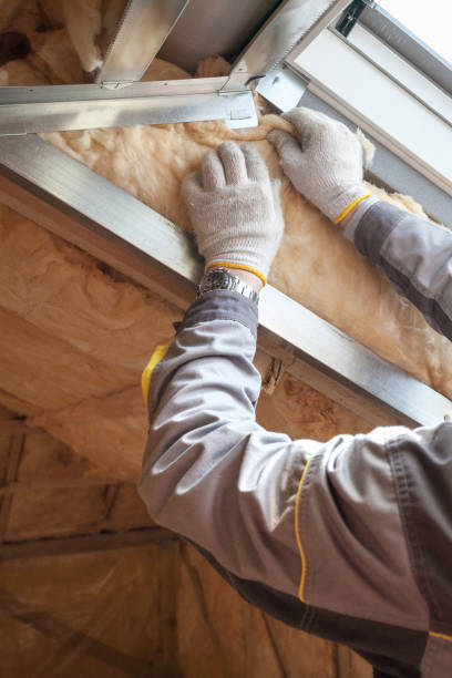 Best Types of Insulation in Lake Mills, IA